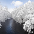 Blue Ribbon River
