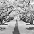 Path of Dreams 