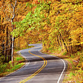 Autumn Country Road